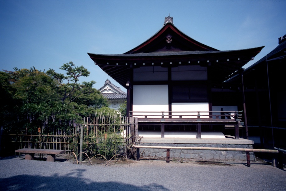 The Bamboo Forrest in Kyoto