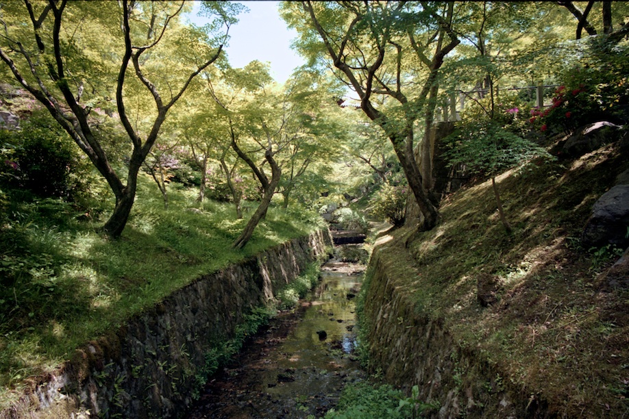 Tokufuji Temple in Kyoto
