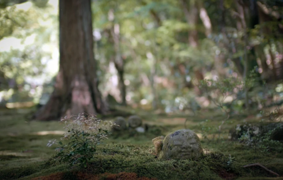 Sanzenin Temple in Kyoto