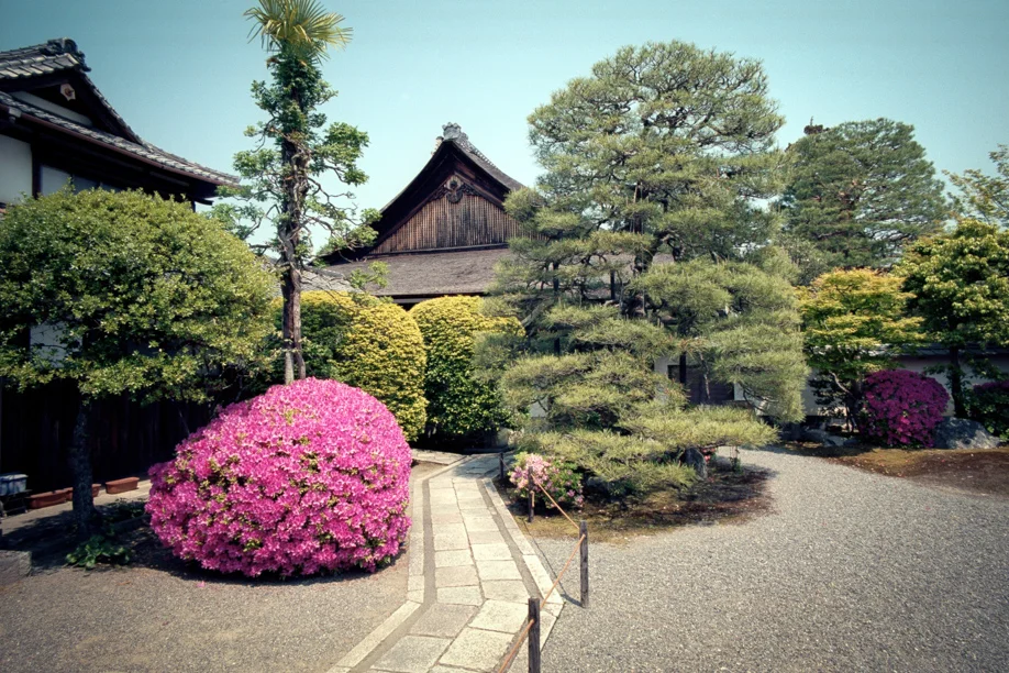 Myoshinji in Kyoto