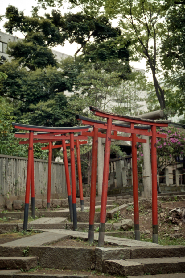 Nezu Shrine