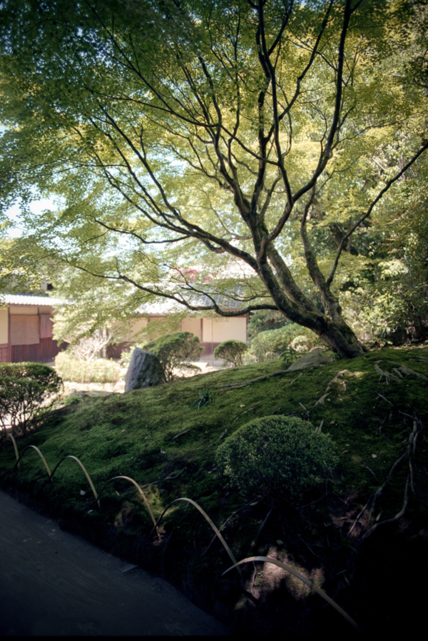 Taizoin Temple in Kyoto