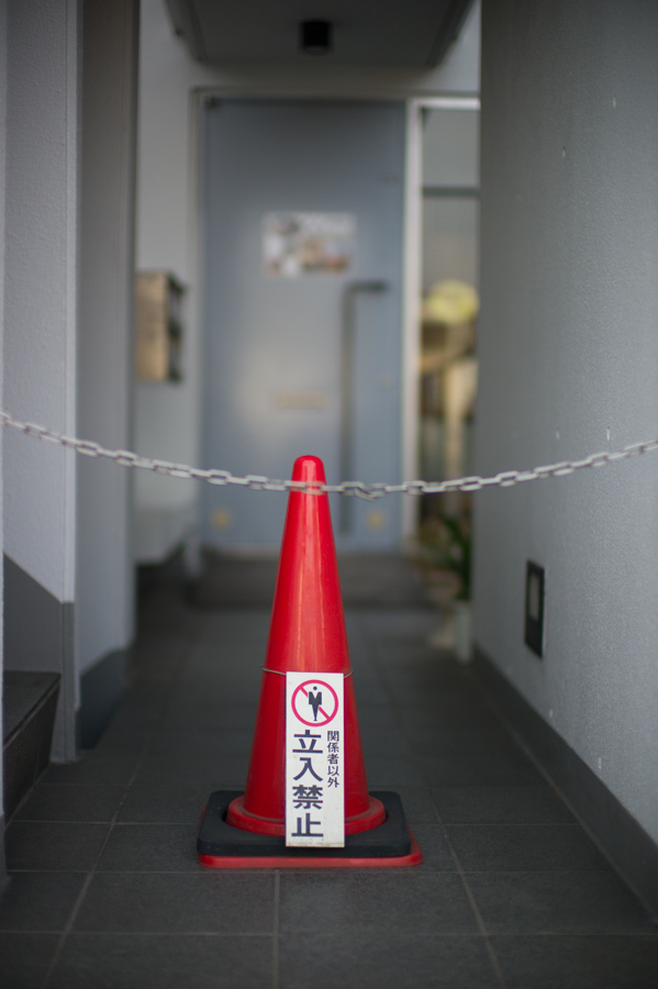The Land of the Rising Cone