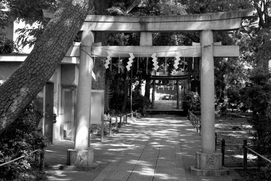 Jiyugaoka Shrine shot on TMAX 400 with a Mamiya 645