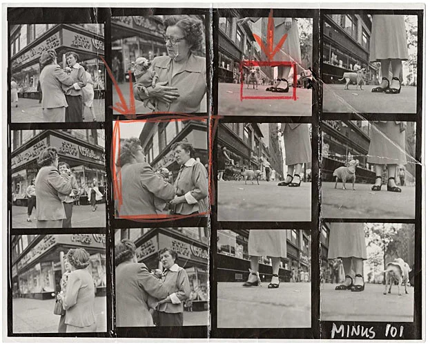 Eliott Erwitt's Chihuahua