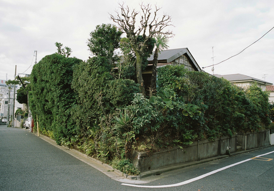 Nakane