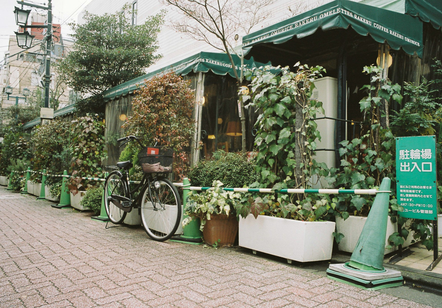 Excessive use of cones in Japan