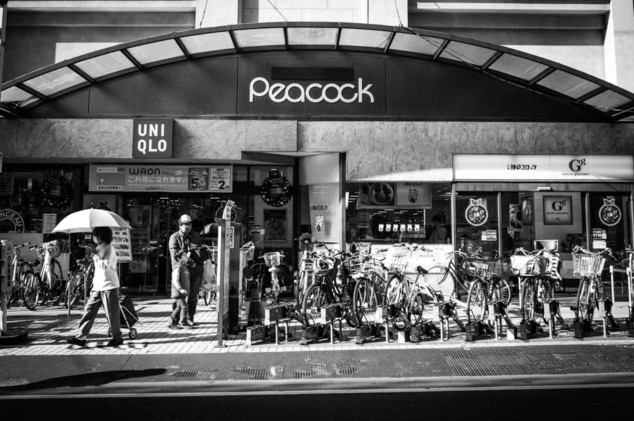 Peacock in Jiyugaoka