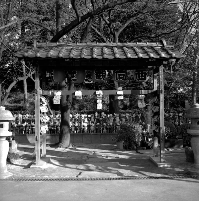 Zojoji