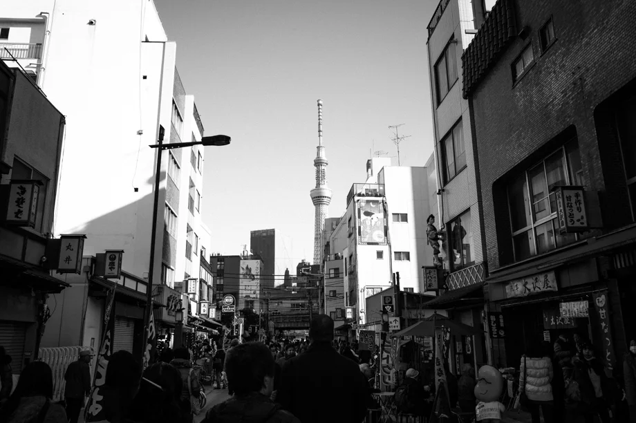Skytree