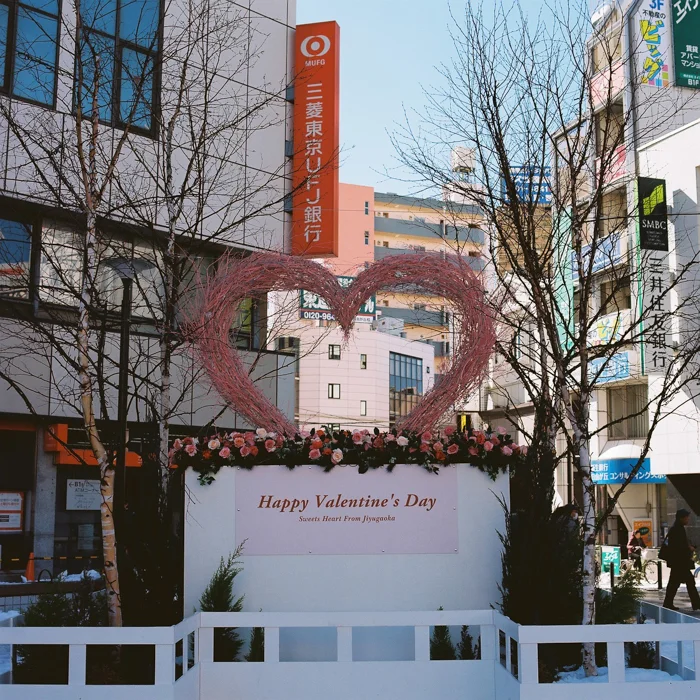 Snowy Jiyugaoka