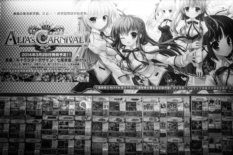 Shinuku Video Game Store