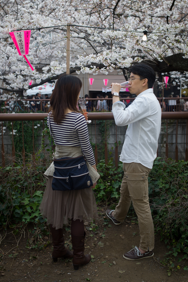 Ohanami in Nakameguro
