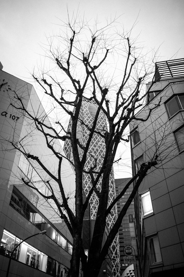 Shinjuku