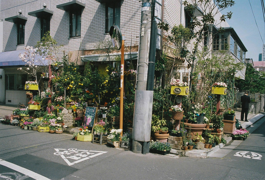Flower Shop