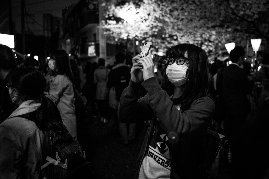 Cherry Blossoms in Tokyo