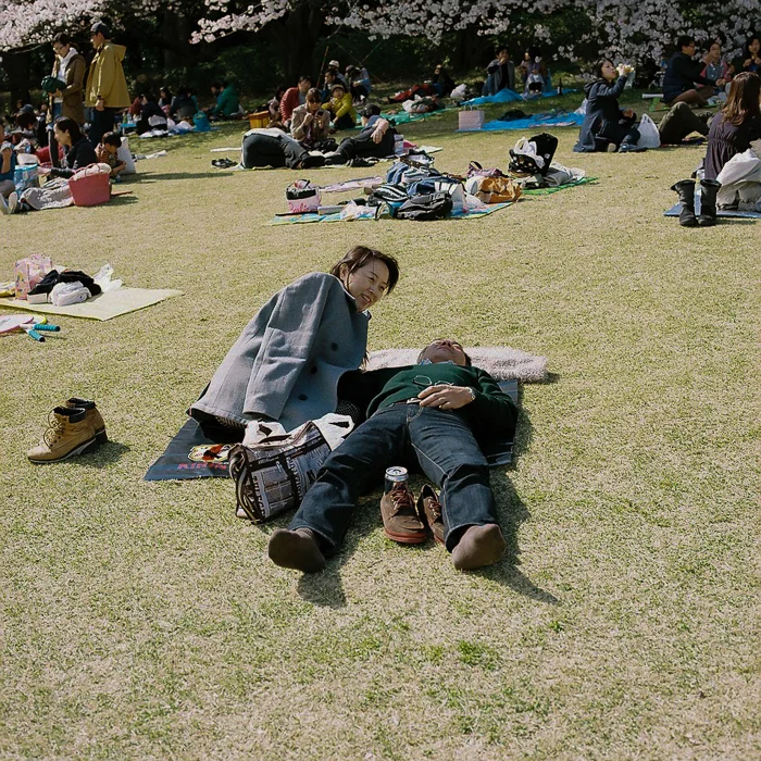 Ohanami at Kinuta Park