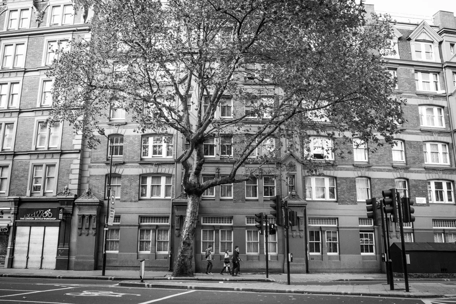 London