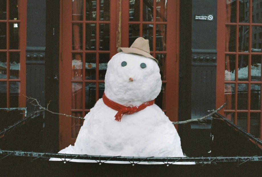 Snowy NYC