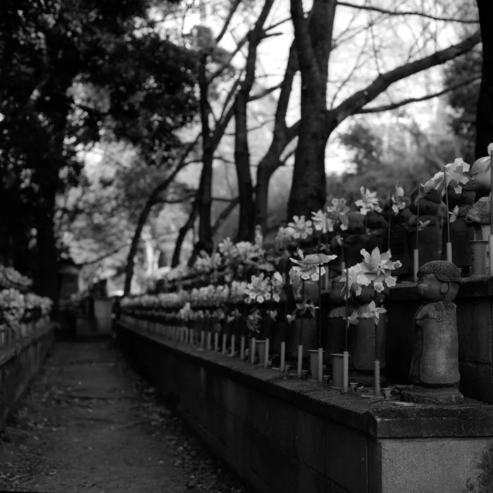 Around Zojoji