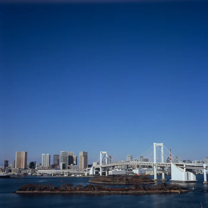 Tokyo Skyline