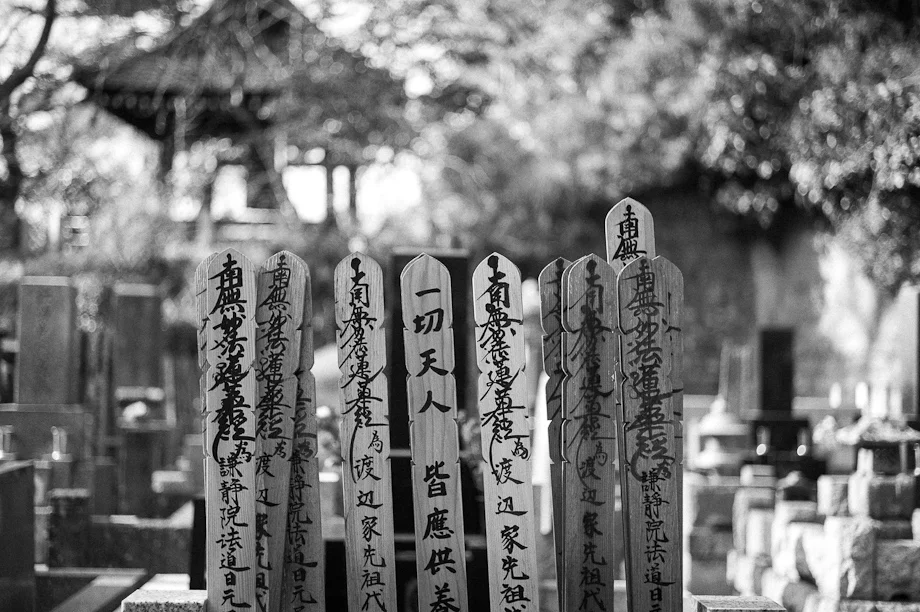 Kamakura in Monochrom