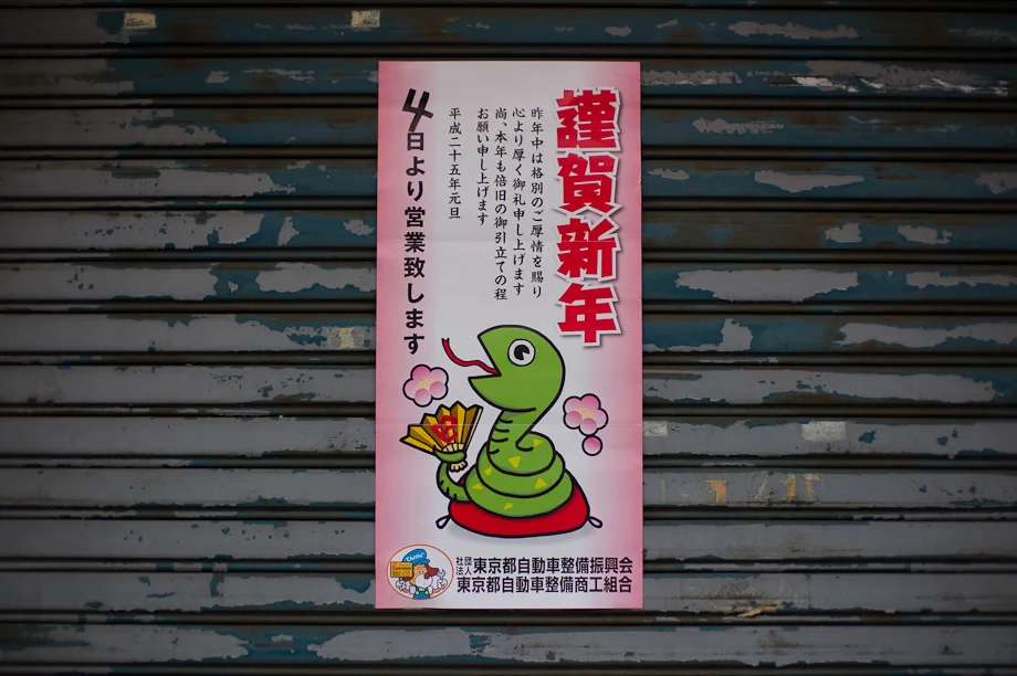 Year of the Snake