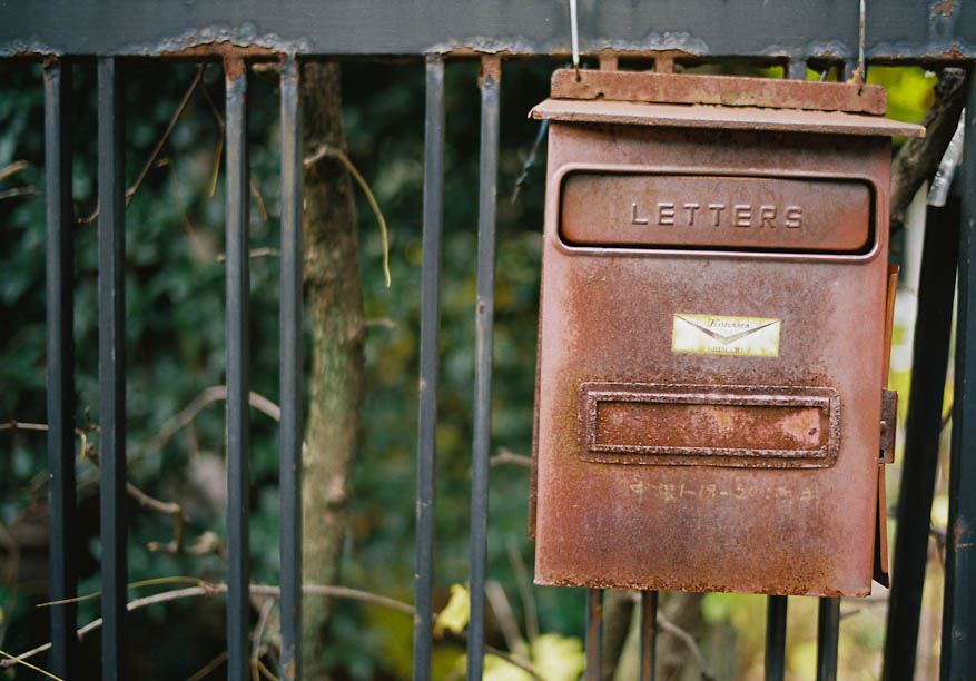 A usual day in the neighborhood... 