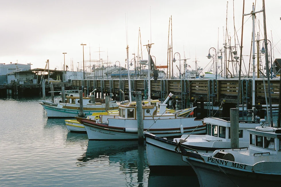 Fisherman's Wharf