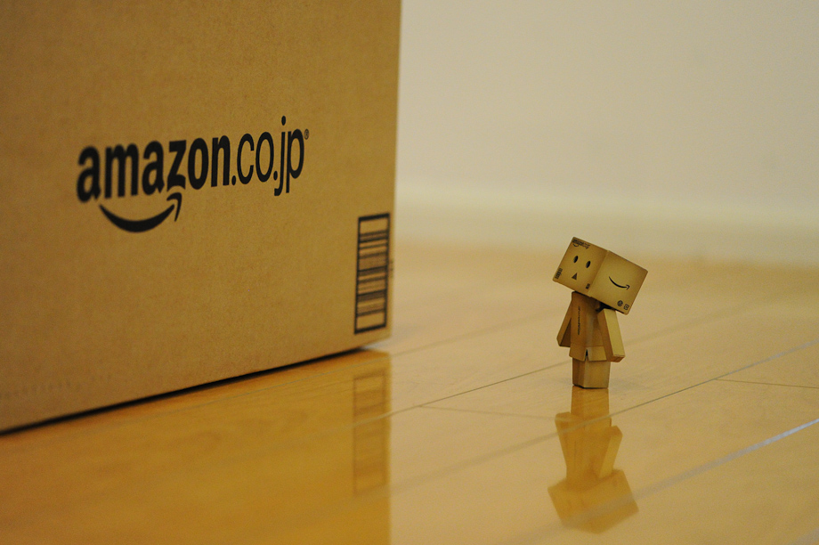 The adventures of Danbo