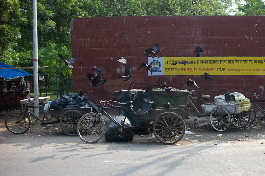 An afternoon walk in New Delhi