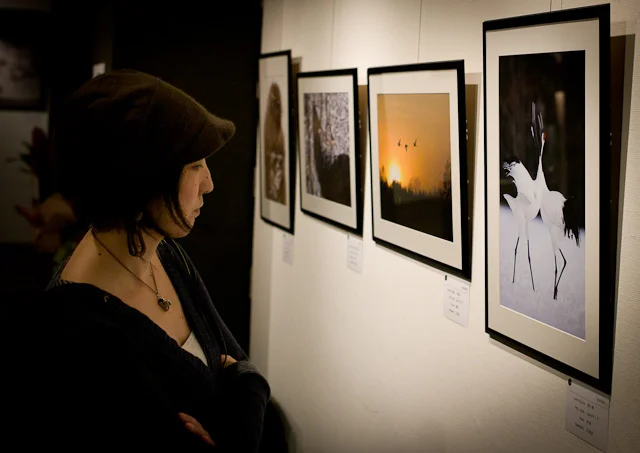 Martin Bailey's Exhibition