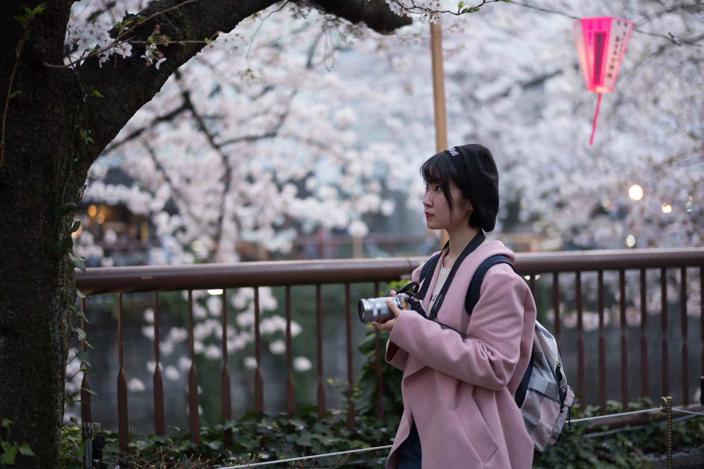 Spring in Tokyo