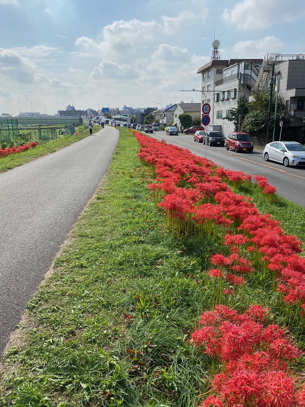 Tamagawa River Bike Path