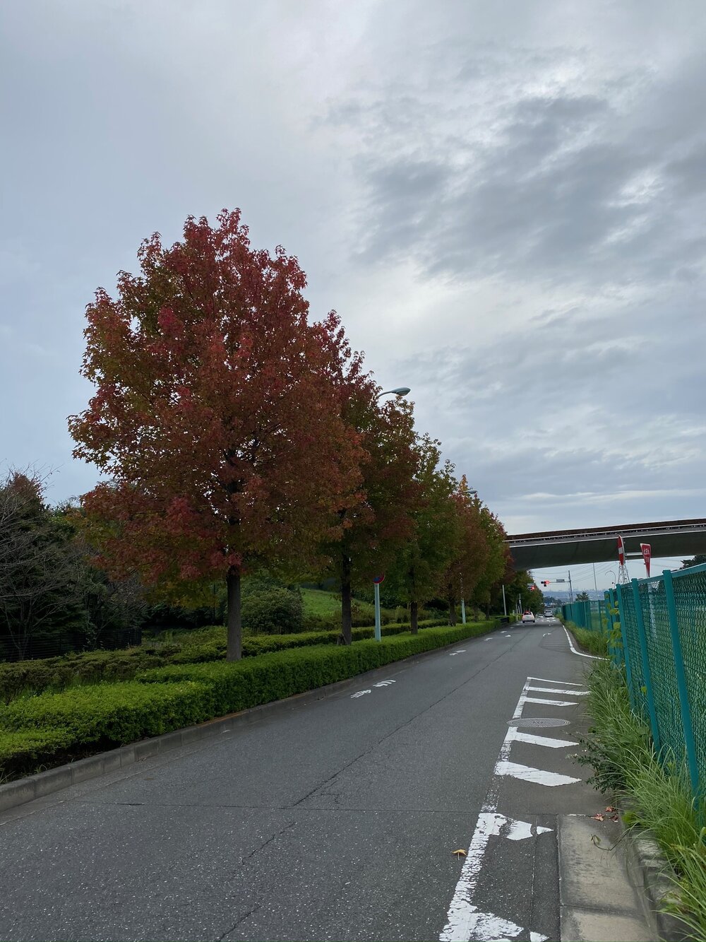 Ride out to the Mountains outside of Tokyo