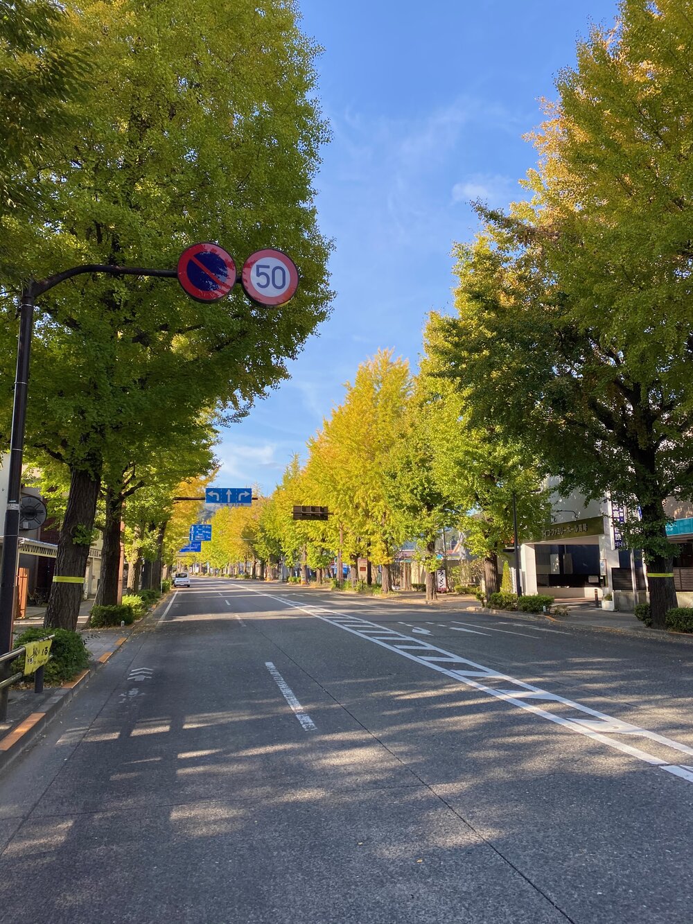 Mountains outside of Tokyo