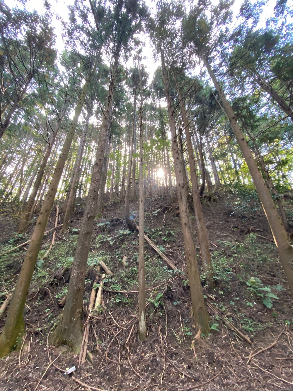 Mountains outside of Tokyo