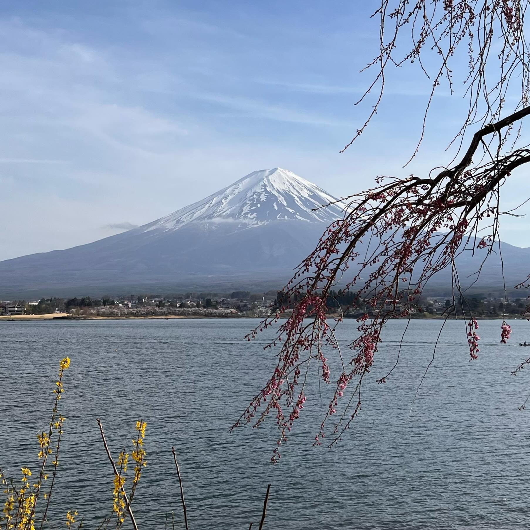 A beautiful drive around Fuji Lakes today!