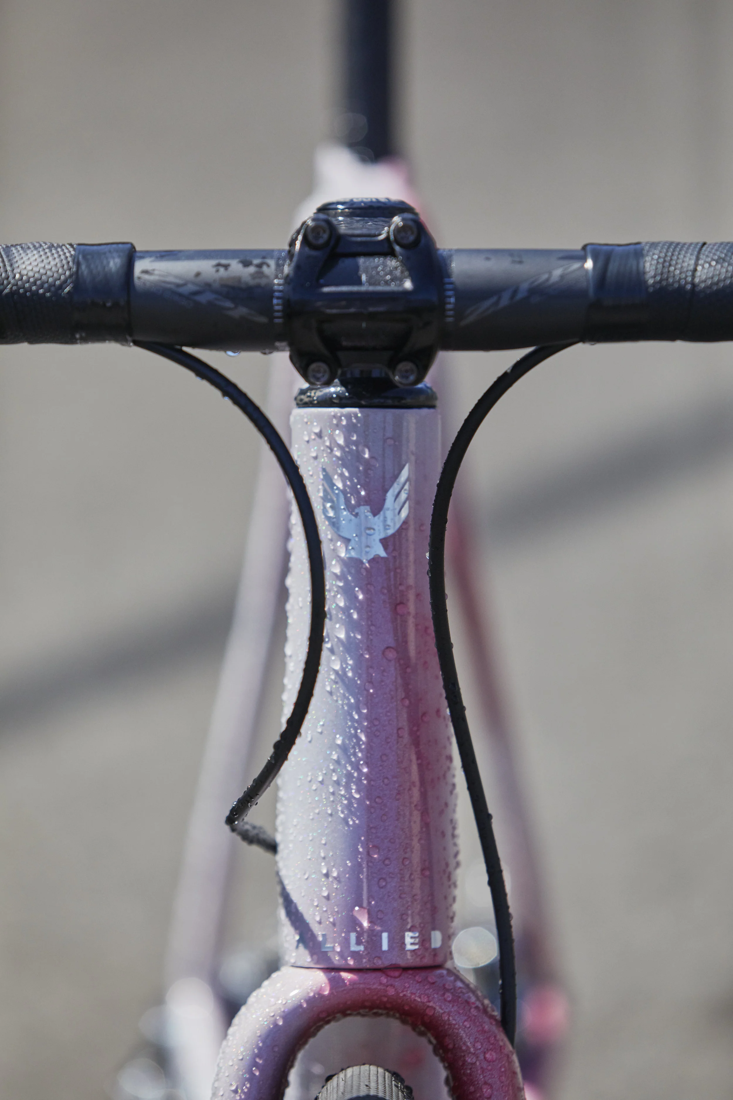 Allied_carbon_color_change_129.jpg