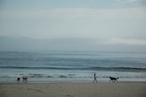 beach1.jpeg