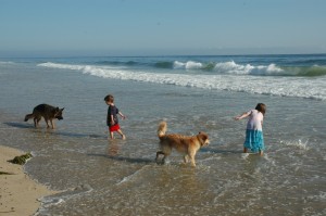 beach2.jpeg