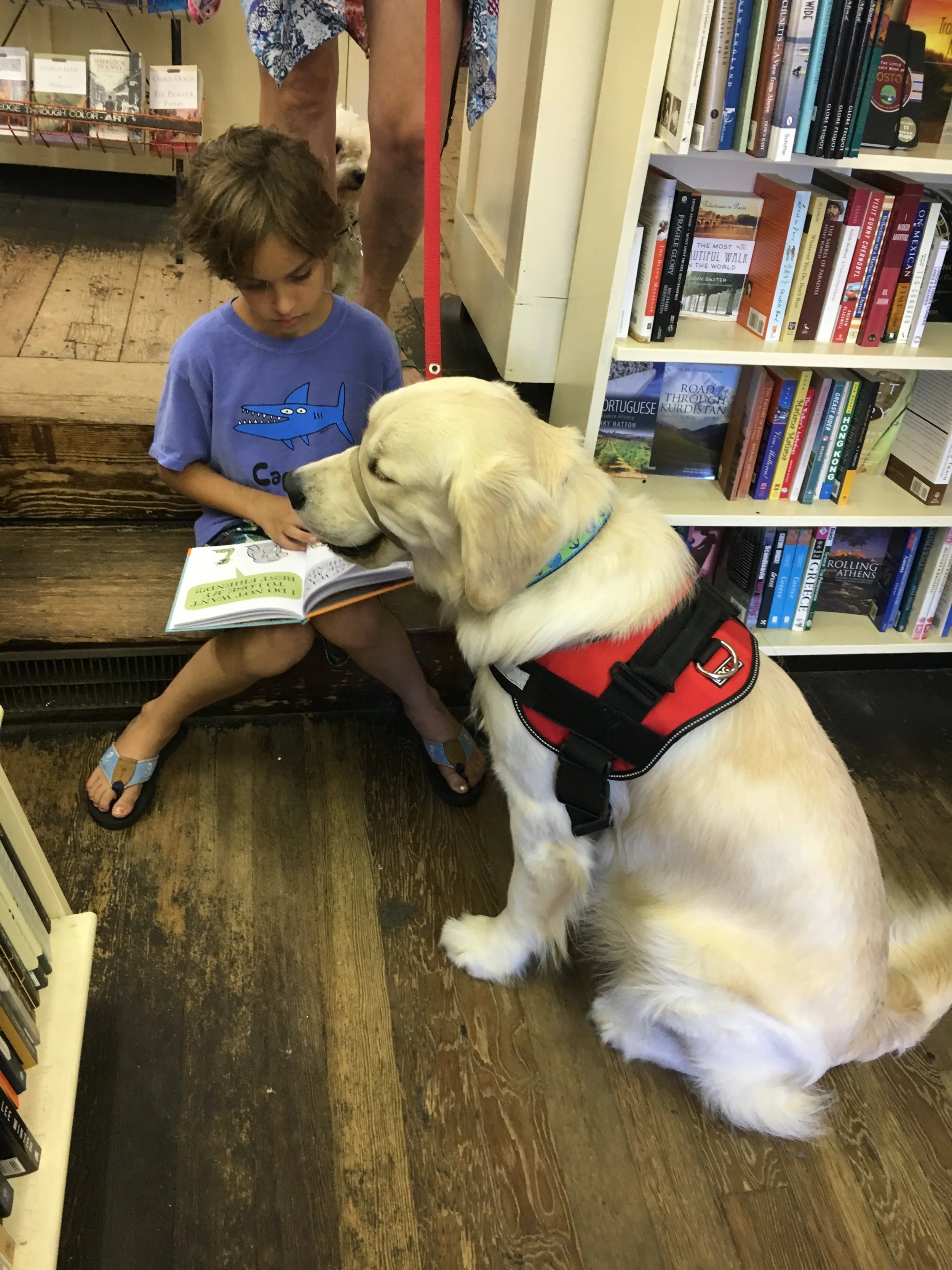  Reading books!