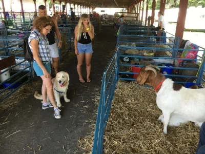  Adventures to see new places and make new friends!