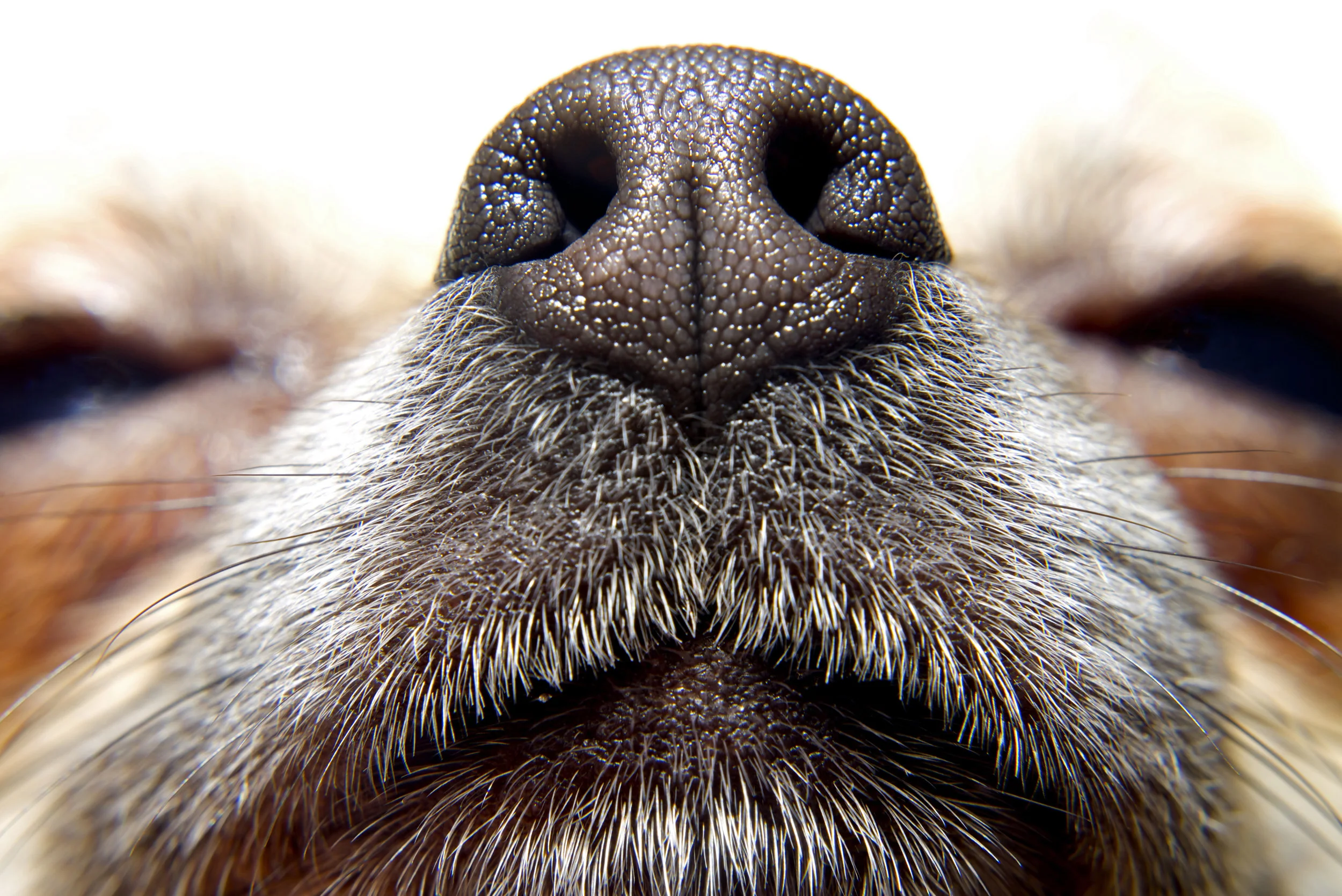 Depositphotos_100379990_original.jpg
