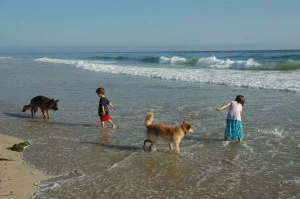 beach2.jpg