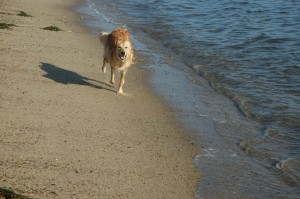 beach3.jpg