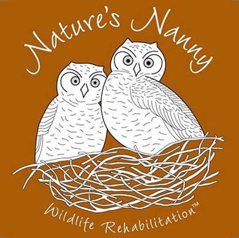Nature's Nanny Wildlife Rehabilitation