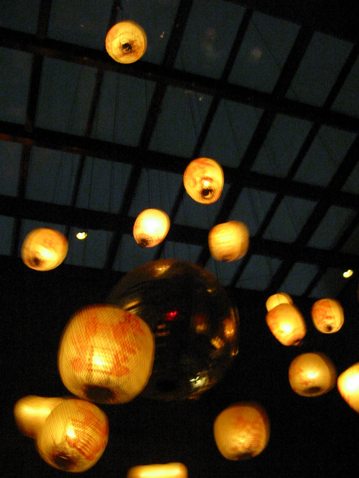 101-0162_IMG.JPG