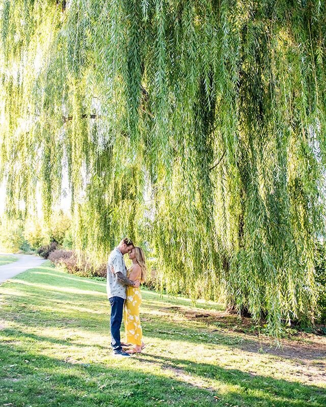 Best willow tree spot! 🙌🏻 #cutecouplesgoals #couplesinlove