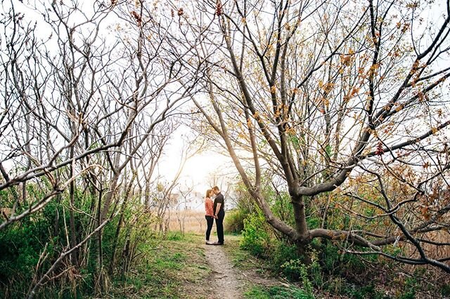 Happy engagement Sam &amp; Joshua!! You both are truly amazing people! I am so lucky to be your wedding photographer. 💛 @covelles #engagementinspiration #engagementinspo